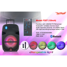 New Arrival 12 polegadas Multi -Colored bateria Speaker com Bt, Mic F22t